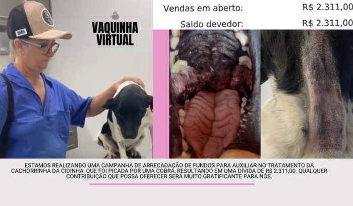 Veterinário da sophia 
