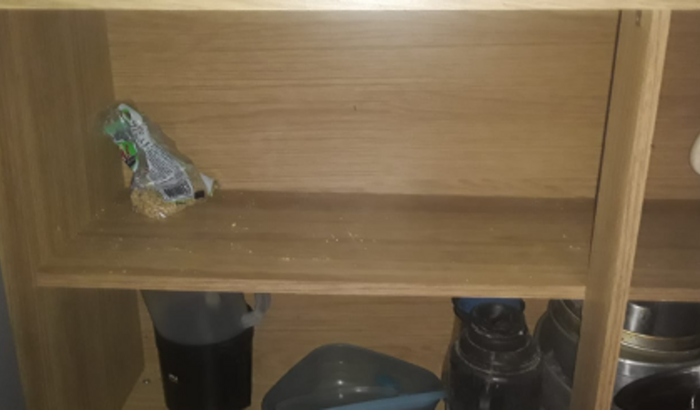 Uma Mão Amiga para Fábio - Ajude-me a alcançar o valor para salvar meu grande amor da miséria