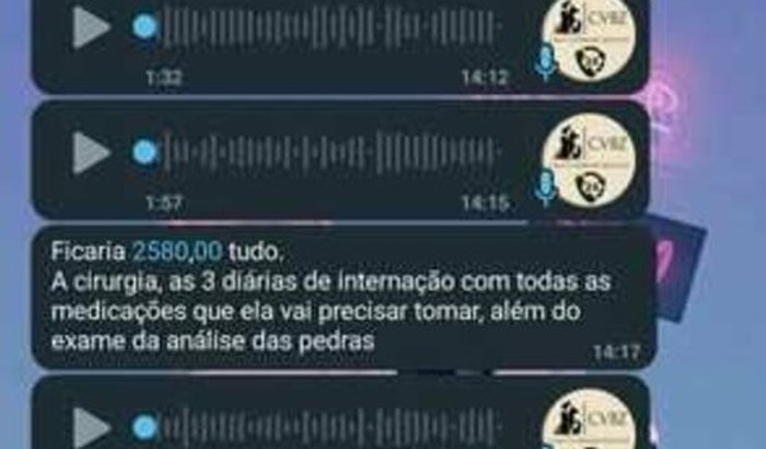 Salvando a Rita 