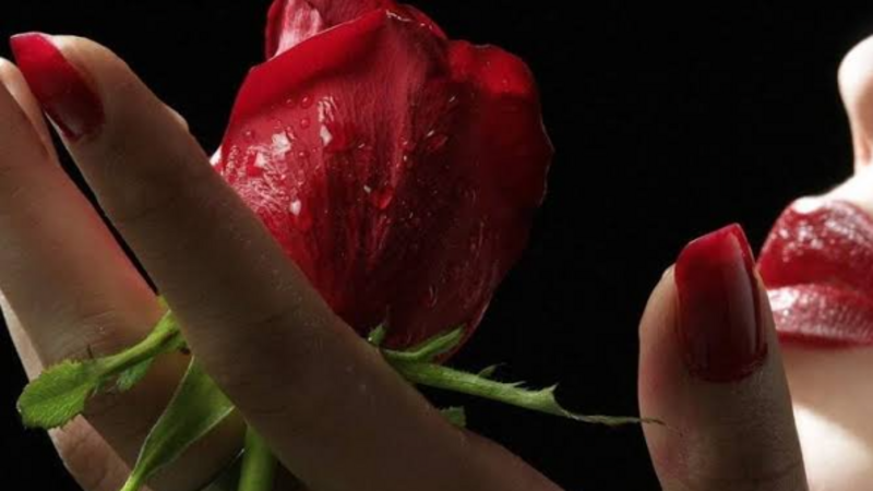 Uma Rosa 🌹 para Maria 