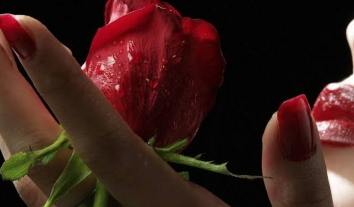 Uma Rosa 🌹 para Maria 