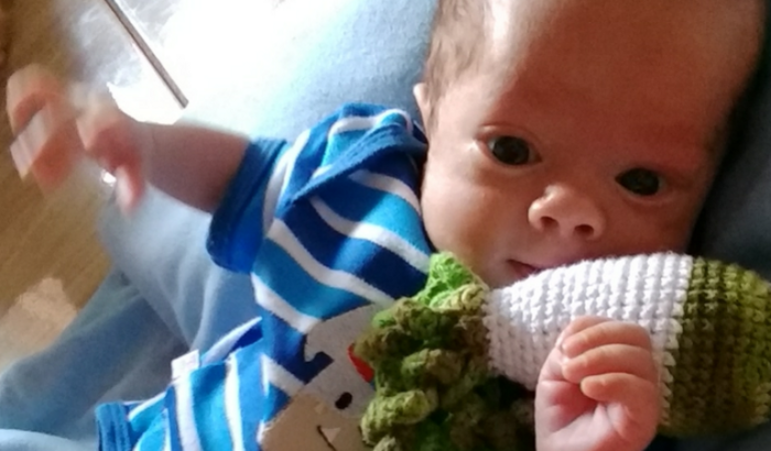 Cirurgia do Noah 