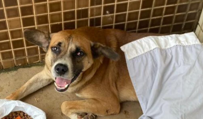 Ajude esse neném a conseguir sua cirurgia