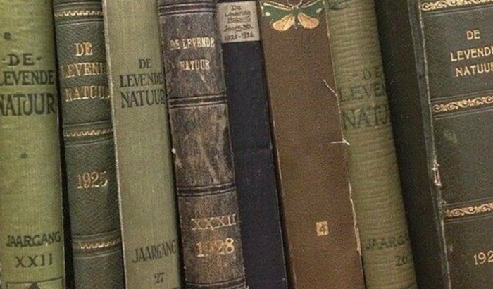 Manter o acervo / ajudar o PoetVoir