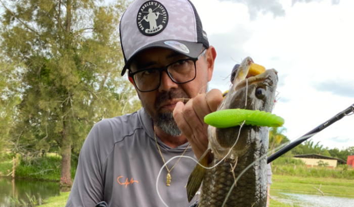 Ajudar o Fábio Hard a comprar um celular para seu trabalho