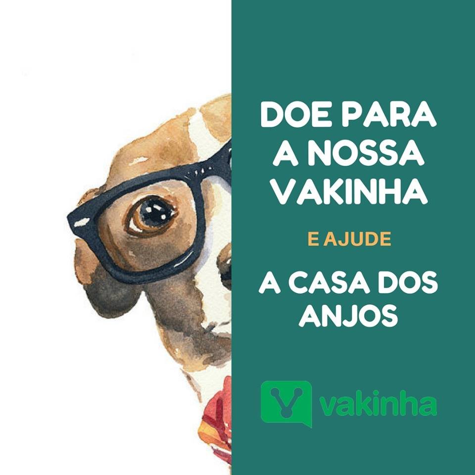 Prestação terreno - Fevereiro