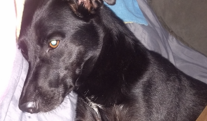 Mary Jane precisa de ajuda!! (Exames+cirurgia)