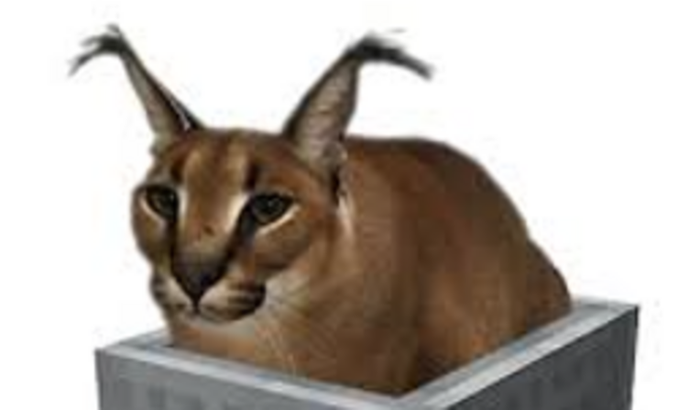 Servidor de Minecraft com os Amigos :)