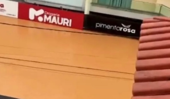 Ajudar a reerguer a Loja Pimenta Rosa