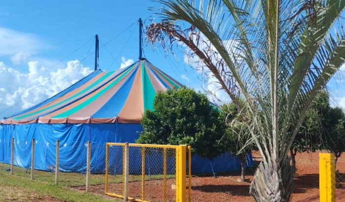 Ajude a quitar nossa lona de circo do Cerrado