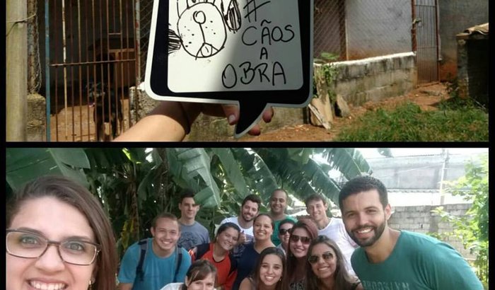 Vacinação de Cachorros Abandonados