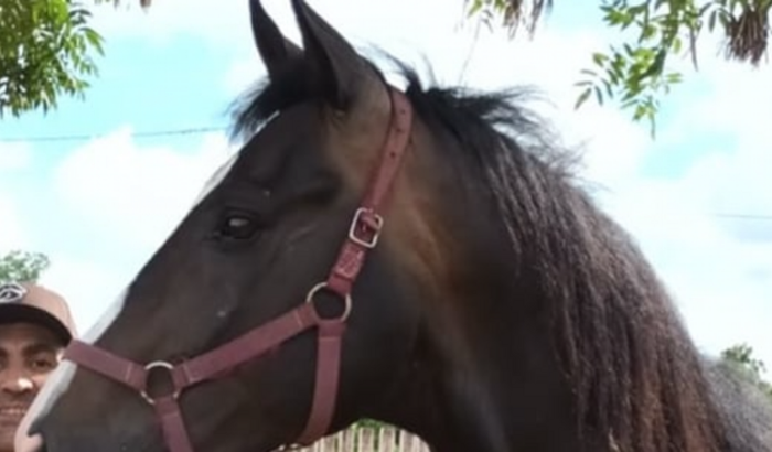 Recuperação Rasputin 