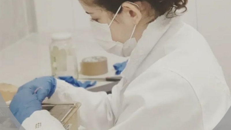 Ajude Aline a terminar o doutorado