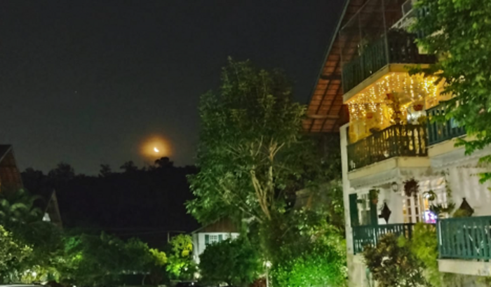 Vaquinha Country Leve