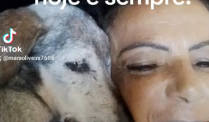 Rex virou estrelinha