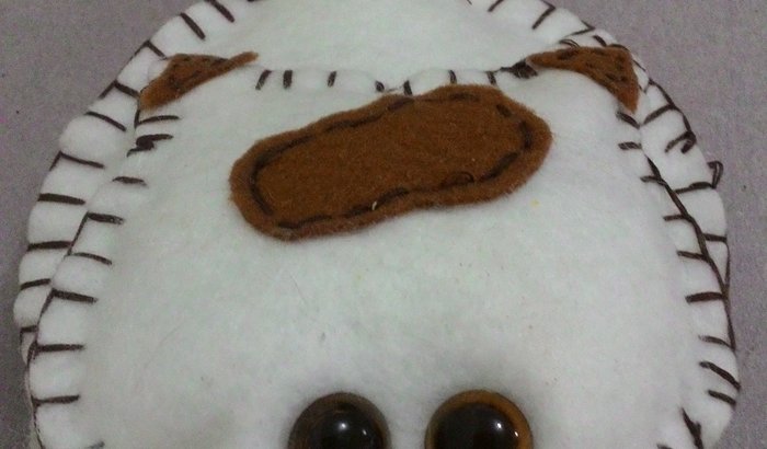 Pata Solidária fevereiro