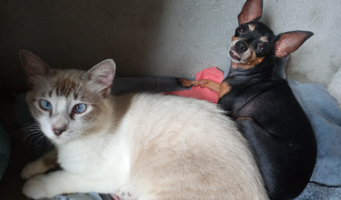 Dudu e bela