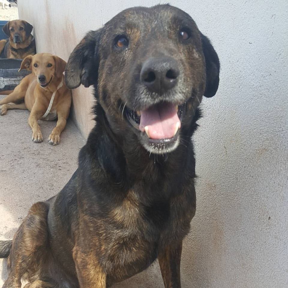 Hotelzinho Santiago- Fevereiro