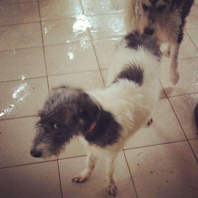 Hotelzinho Jaqueline - Fevereiro