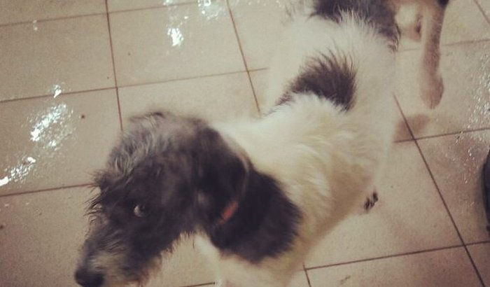 Hotelzinho Jaqueline - Fevereiro