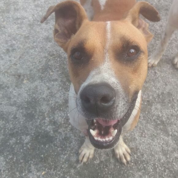 Hotelzinho Heiky - Fevereiro