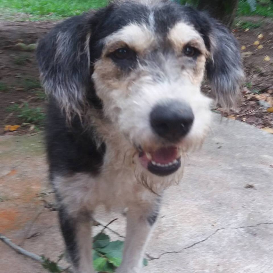 Hotelzinho Cher - Fevereiro