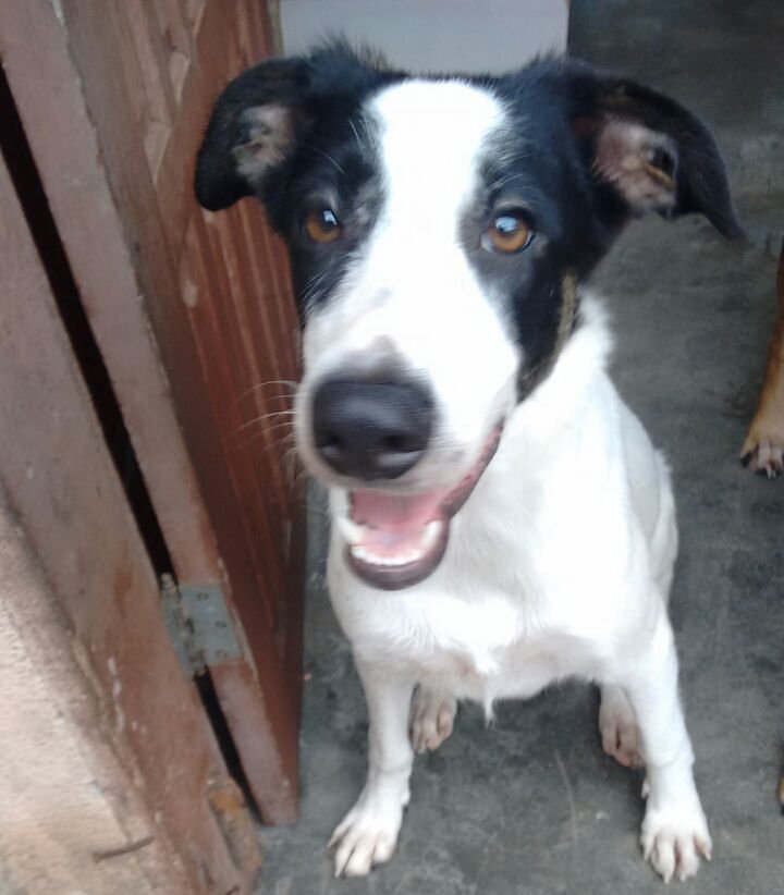 Hotelzinho Isis - Fevereiro