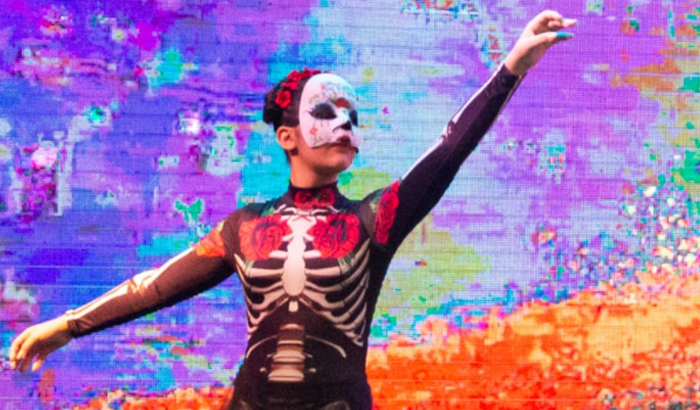 Festivais de Ballet Luiza (São Paulo e Santos)