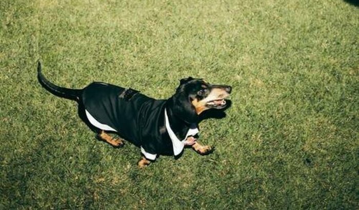 Salve o Alfredo de dois tumores na face :( Nosso Filho Amado