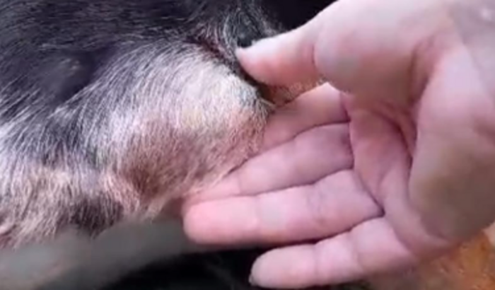 AJUDE A PRETINHA - RETIRADA DE NÓDULO DA MAMA