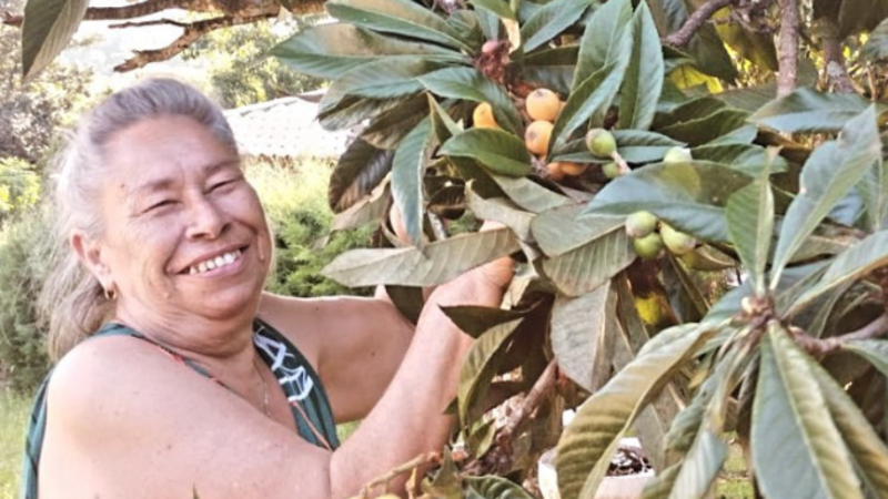 Cirurgia da Madrinha