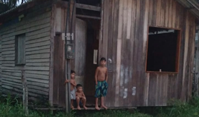 Ajuda para construir a casa dos meus irmãozinhos.