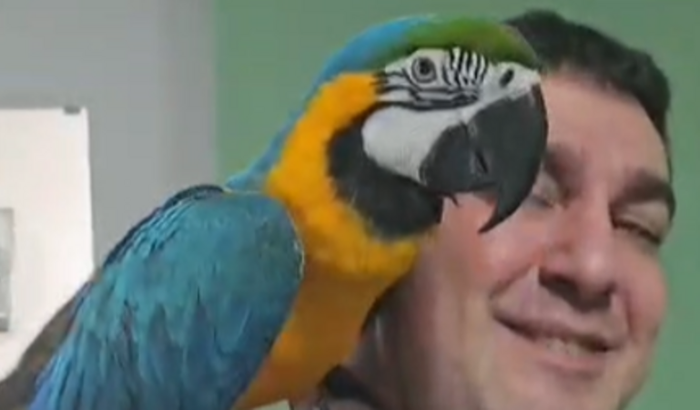 Internação do Theo