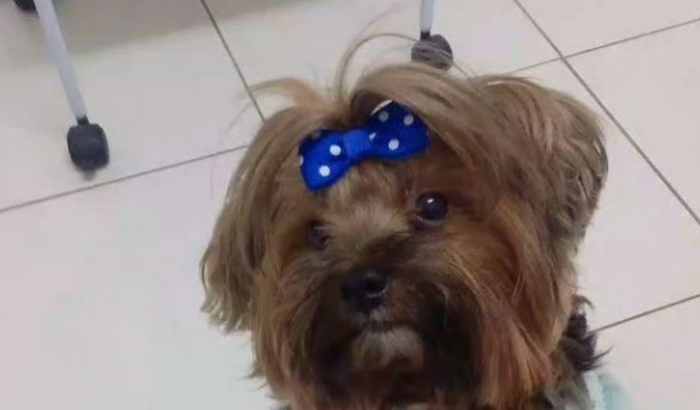 Amor a Hanny