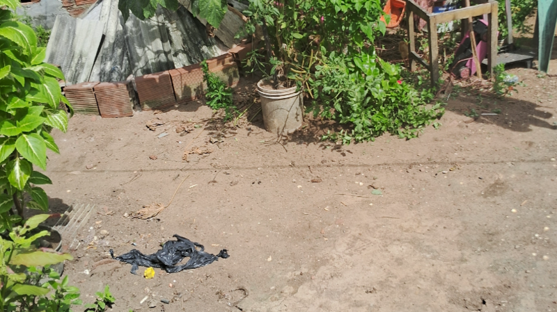 Ajudar eu e minhas crianças a construir um lar