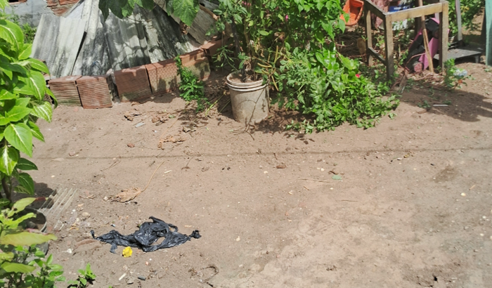 Ajudar eu e minhas crianças a construir um lar