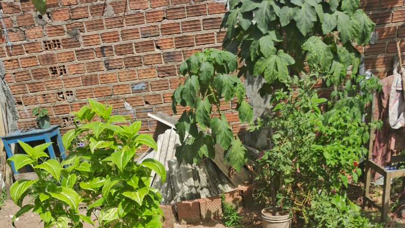 Ajudar eu e minhas crianças a construir uma casinha