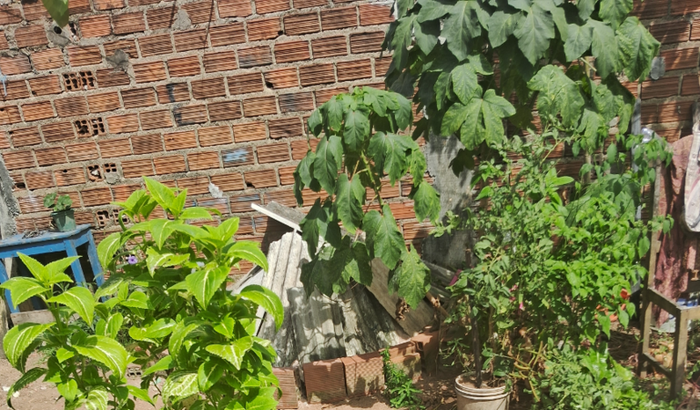 Ajudar eu e minhas crianças a construir uma casinha