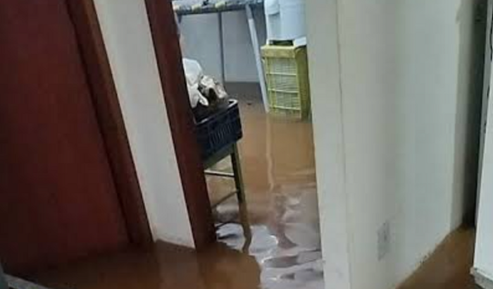Peço ajuda para recuperar minha casa 