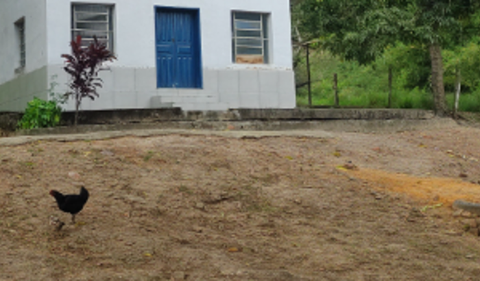 Ajuda para comprar minha casa própria 