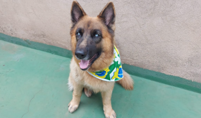 Juntos por um futuro melhor para os animais