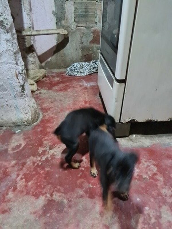 Minha casa caiu