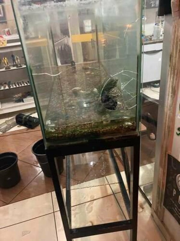 Conserta o meu aquário 