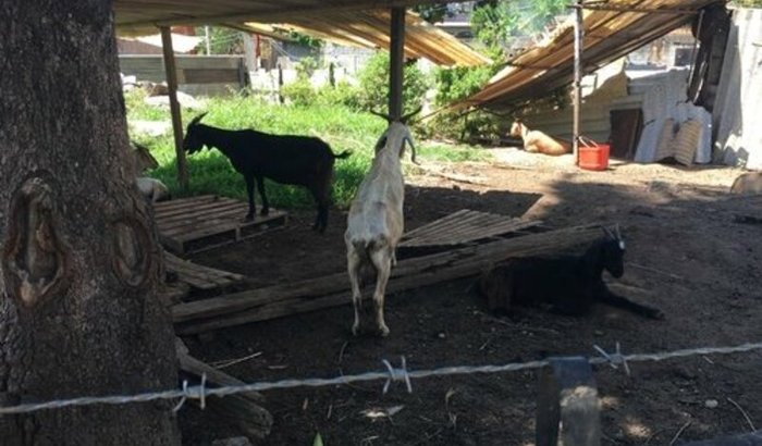 Ajudem uma jovem a arrumar sua casa