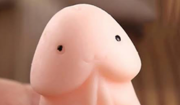 Prótese peniana para Luiz Aviz