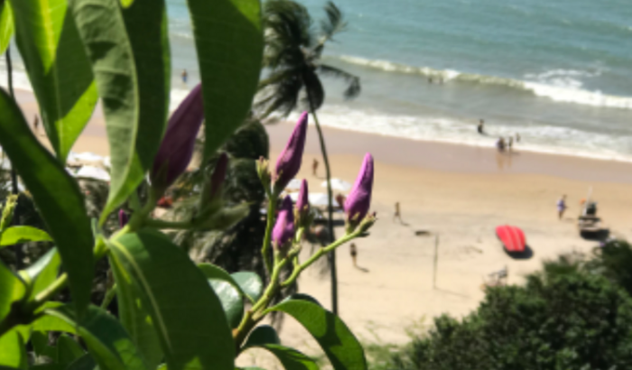 Ajudar minha tia em casa