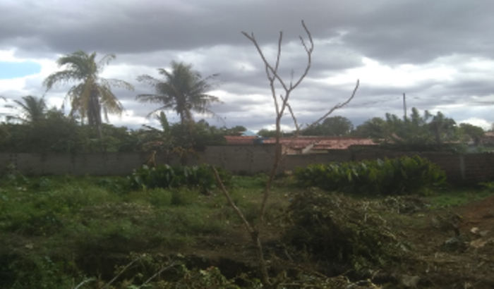 Ganhar 10% por mês, Forex.