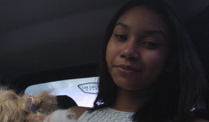 Um sonho de 15 anos Rafaelle 