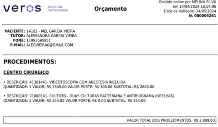 Vaquinha para ajudar no valor pago na cirurgia da Mel