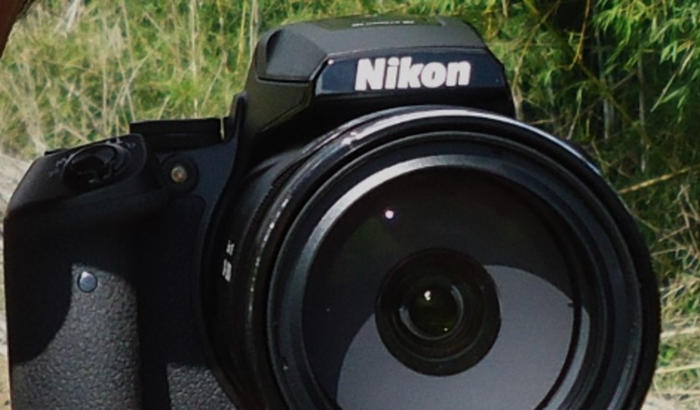  NIKON P900 ou a P950  = Adquirir nova máq. fotogr. digital.